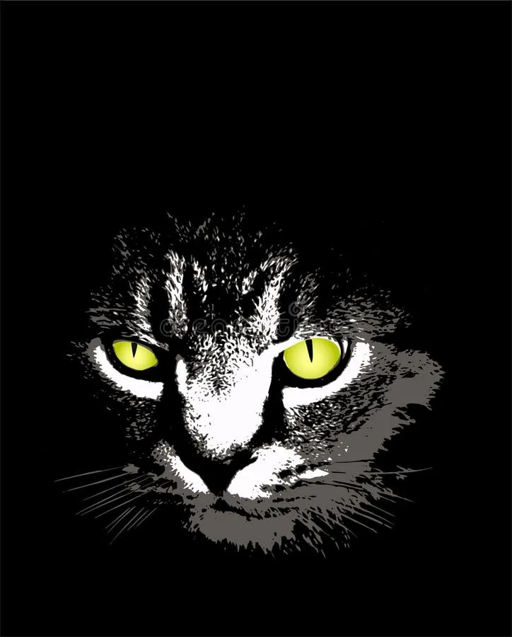 猫先生,恐怖的猫